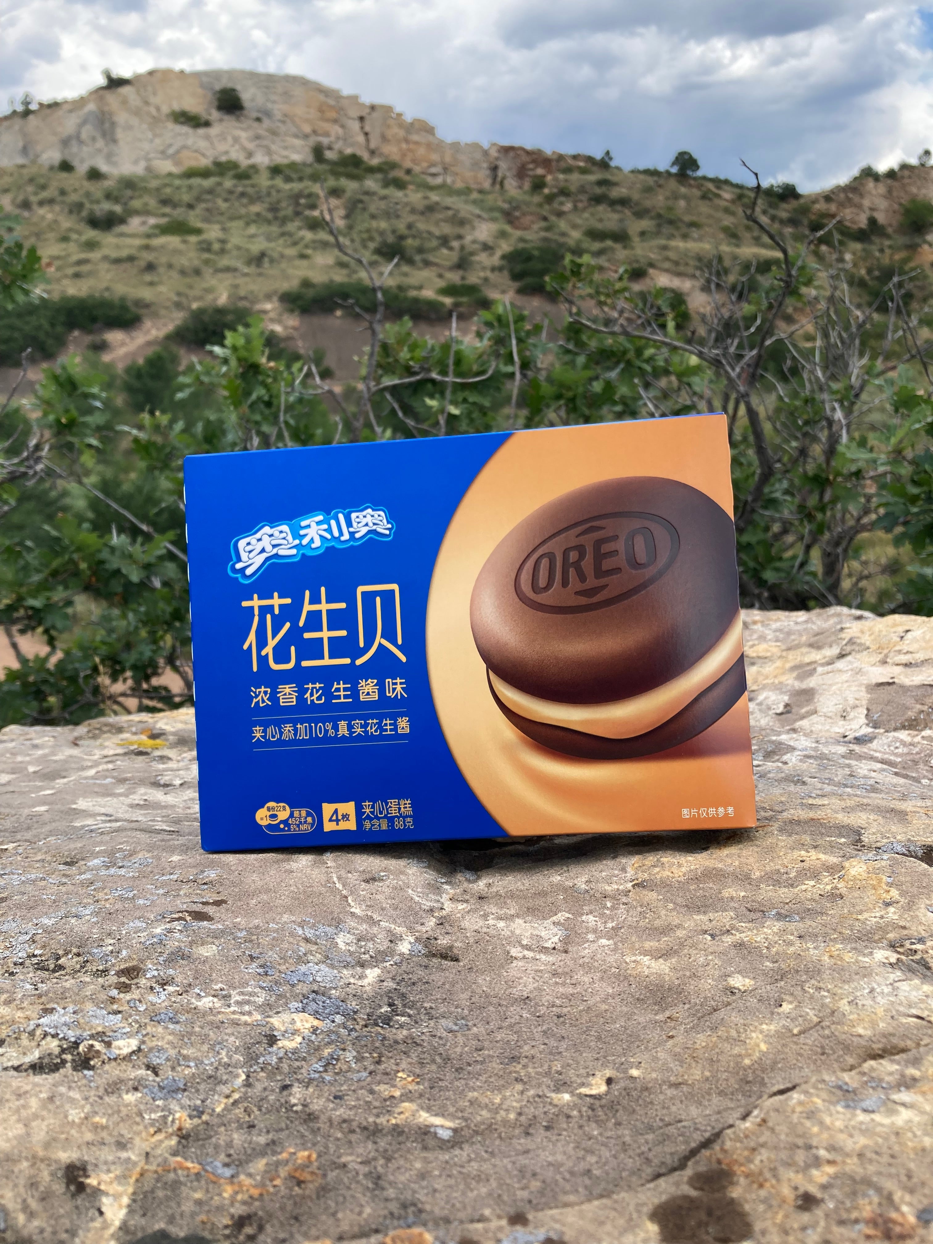Oreo Peanut Butter Cakester (China)