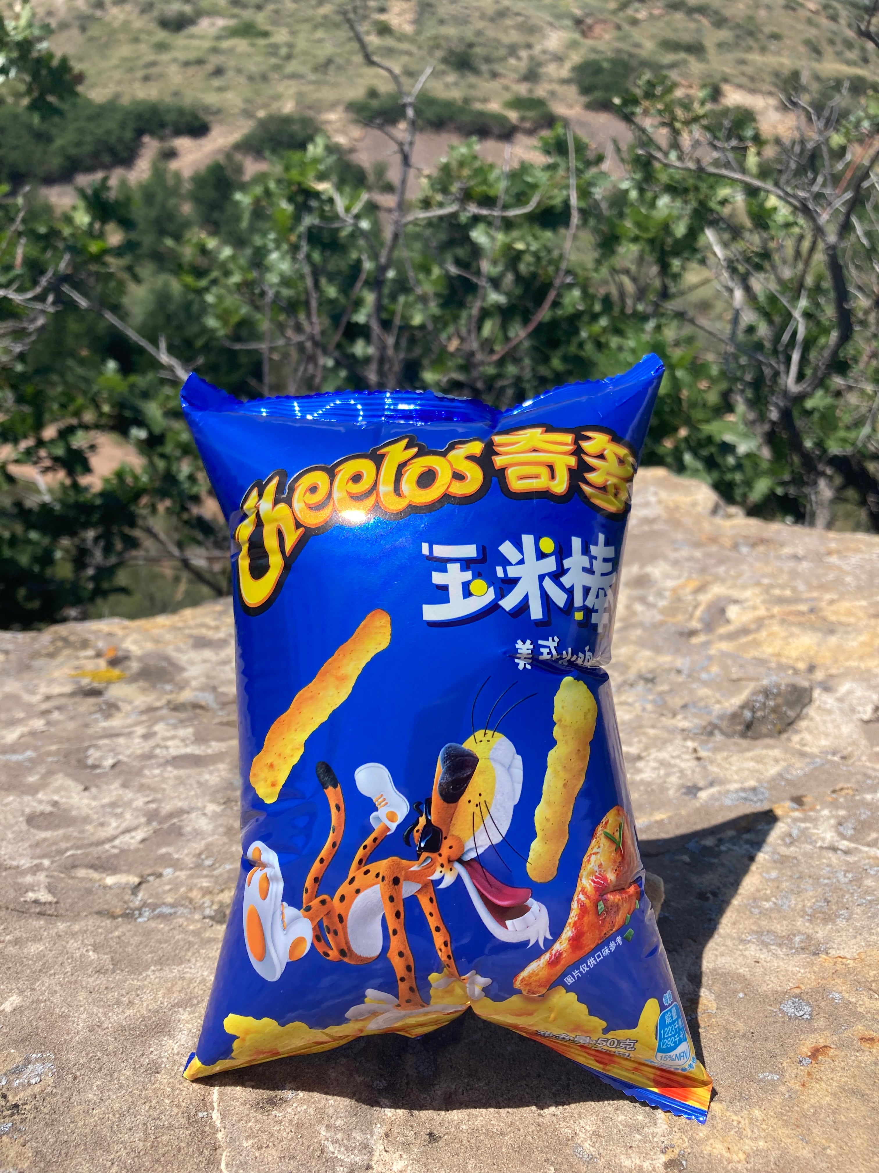Cheetos Turkey Leg (China)