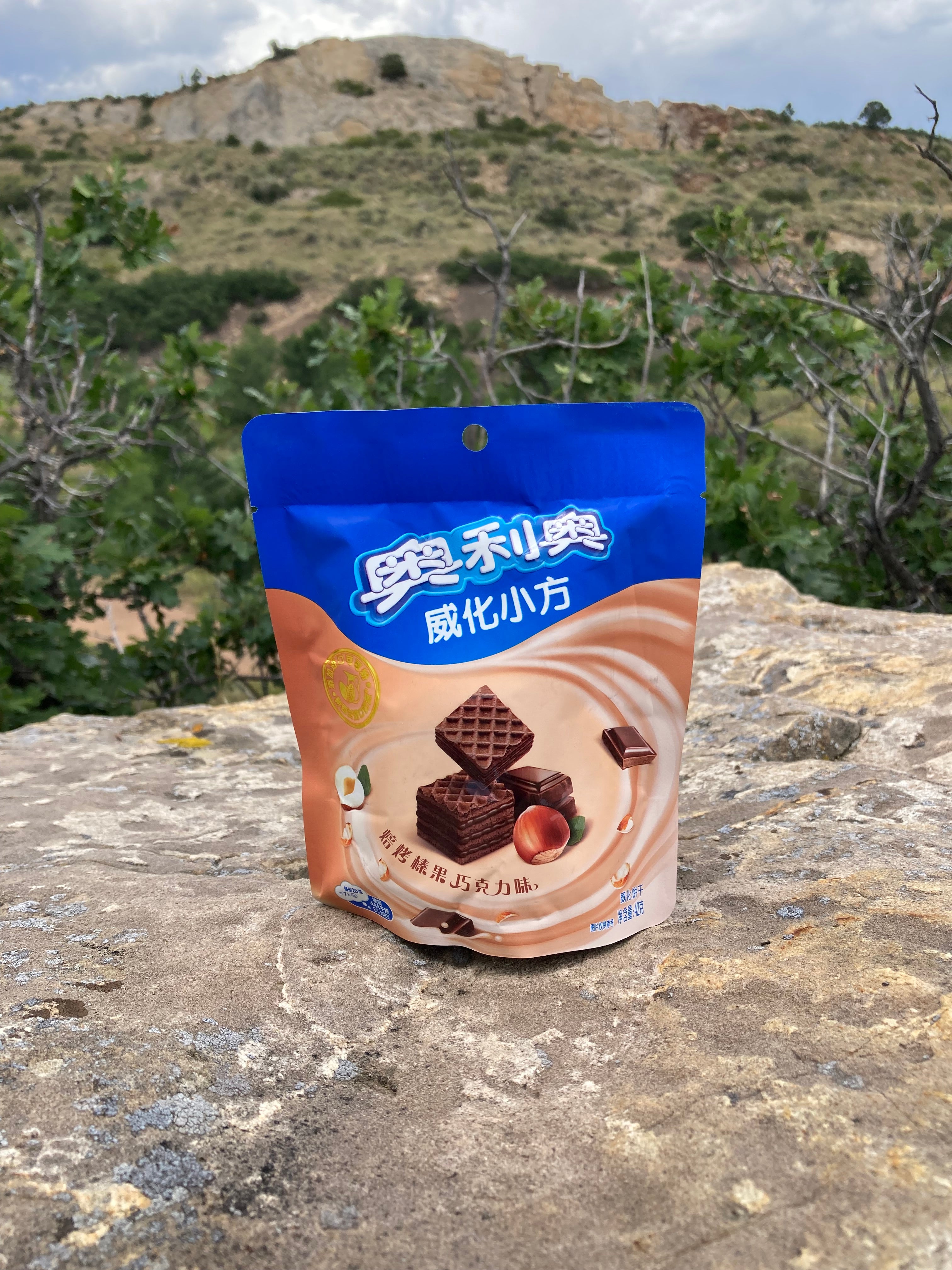 Oreo Hazelnut Chocolate Wafer (China)