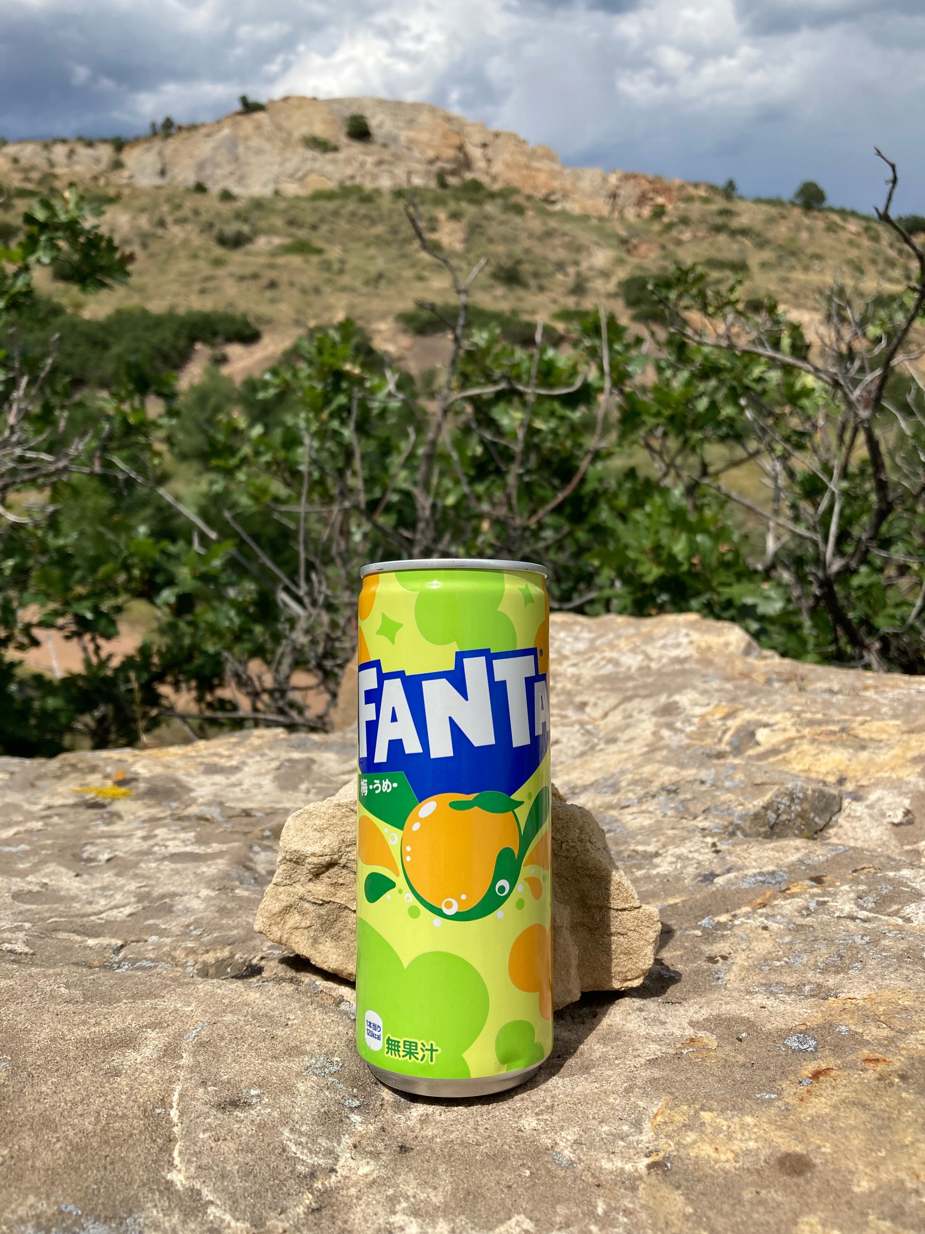 Fanta Ume Plum (Japan)